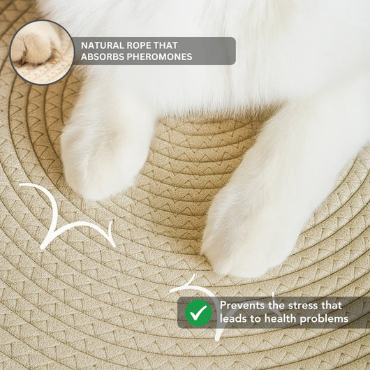 The Instinct Basket | Handwoven Cat Bed