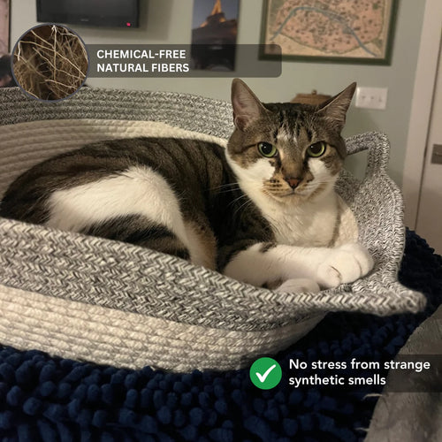 The Instinct Basket | Handwoven Cat Bed
