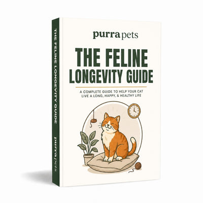 The Complete Feline Longevity Guide