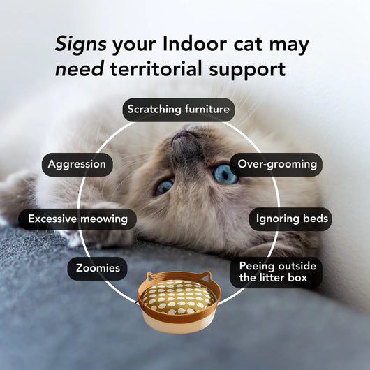 The Instinct Basket | Handwoven Cat Bed