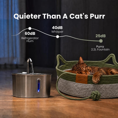 Purra Fountain + 2x Filter Sets