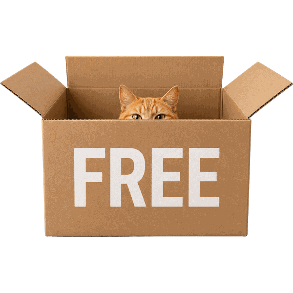 Free shipping included